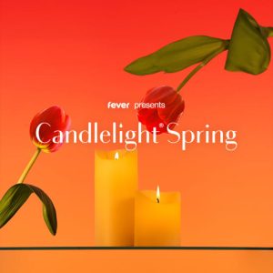 Candlelight Spring: Mozart, Bach e compositori senza tempo at Lavanderia a Vapore, Turin, Italy ENHY.com Special Offers, Deals & Discounts in Italy