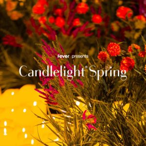 Candlelight Spring: tributo a De Andrè at Lavanderia a Vapore, Turin, Italy ENHY.com Special Offers, Deals & Discounts in Italy