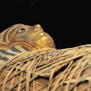 Museo Egizio di Torino: visita guidata Skip-The-Line at Egyptian Museum, Turin, Italy ENHY.com Special Offers, Deals & Discounts in Italy